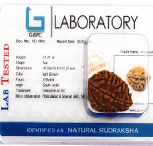 Rudraksha Testing Laboratory in Delhi